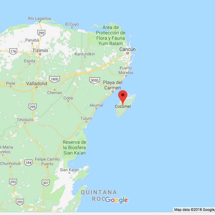 21 Things To Do in Cozumel: Mexicos Top Island