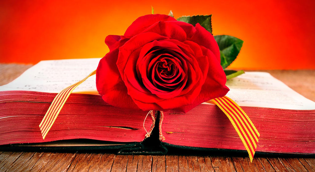 20+ Resources for Spanish Reading Practice (Beginner to Intermediate)