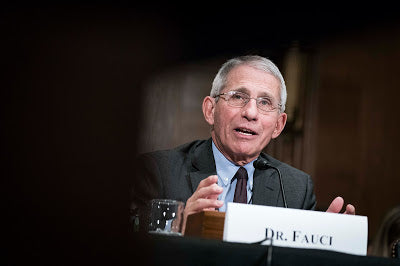 COV 19 - Nobody needed to die?