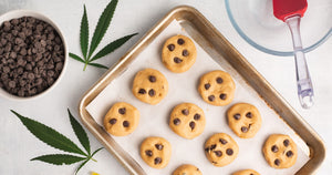 CBD Infused Edibles: What Are They, Common Types & Tips For Choosing The Right Product