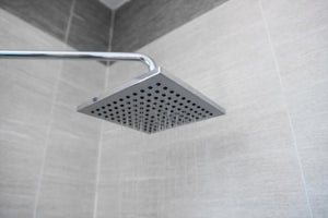 It is hard to believe some people do not enjoy the greatest pleasure of life: showerheads