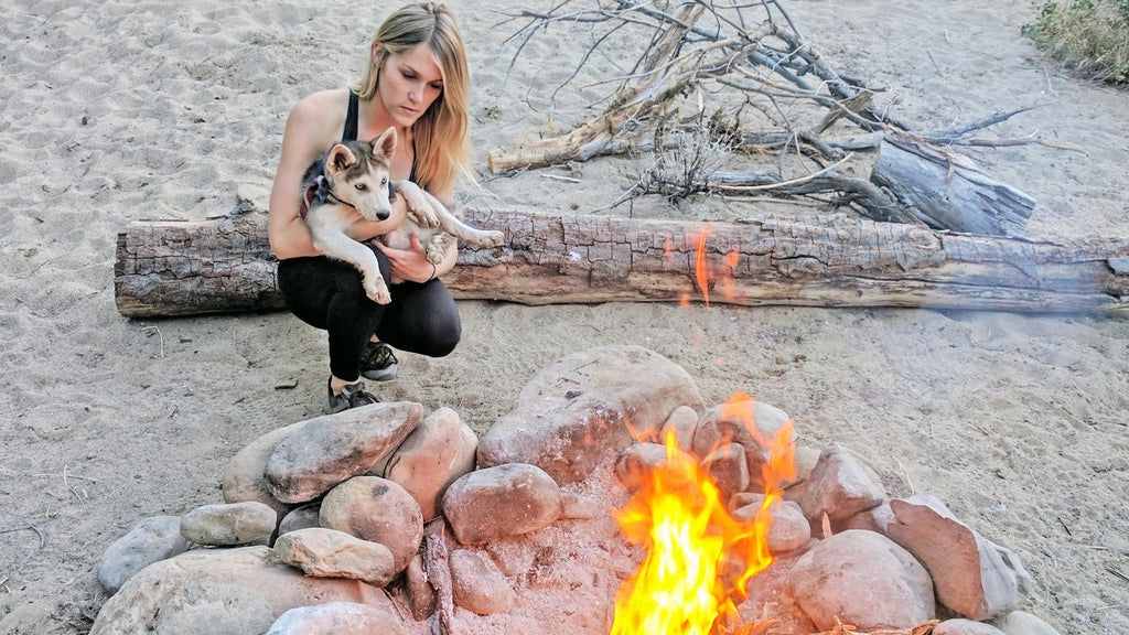 How to Socialize a Puppy During a Pandemic