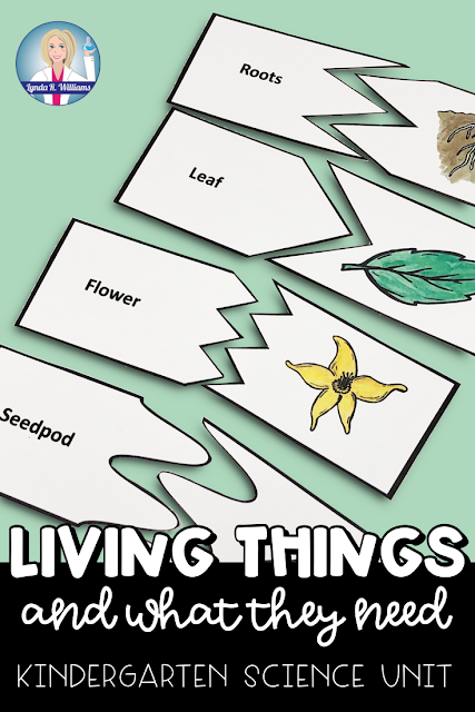 Kindergarten Science Unit - Living Things and What They Need