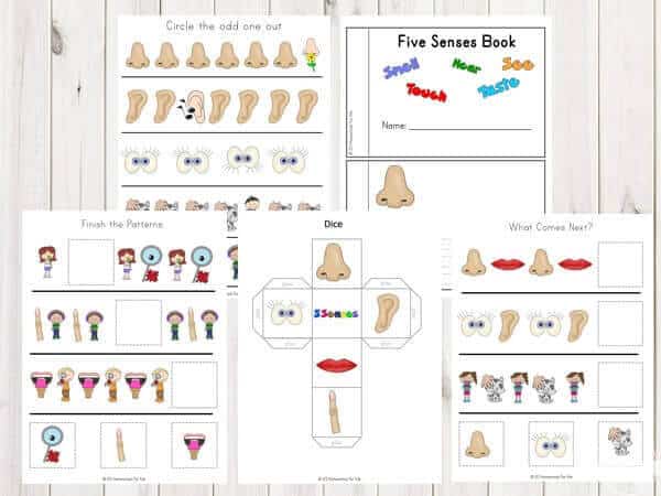 Five Senses Printable Worksheets for Preschool and Kindergarten