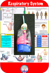 Respiratory System Online Unit for Middle School Science