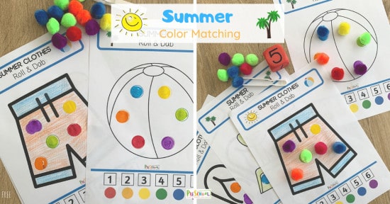 Summer Color Matching Activity