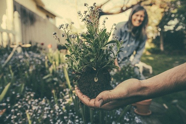 Here’s How Gardening Can Help You Navigate Depression