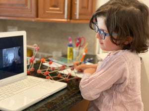 The secret to improving homeschooling: Virtual tutors