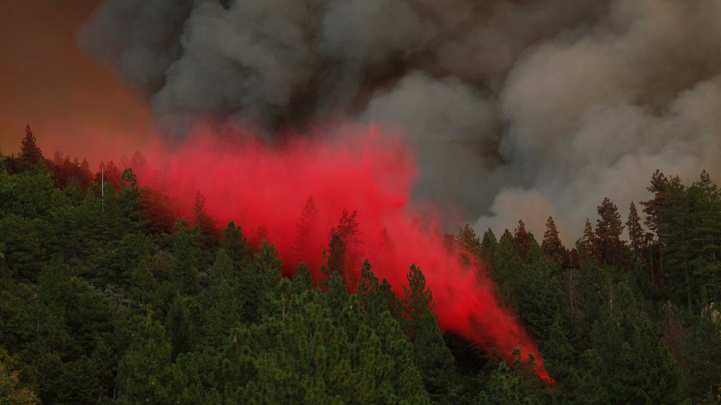 This Lawsuit Could Change How the Forest Service Fights Wildfires