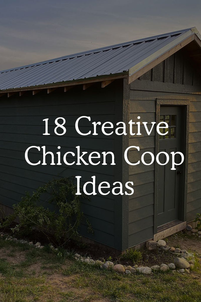 18 Incredibly Creative Chicken Coop Ideas