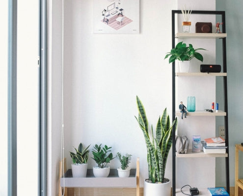 10 Easy Ways to Improve your Home Appearance