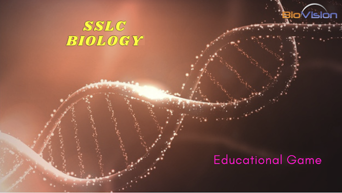 SSLC Biology - Chapter 6 - Focus Area Topic: Protein Synthesis EM - Activity Game