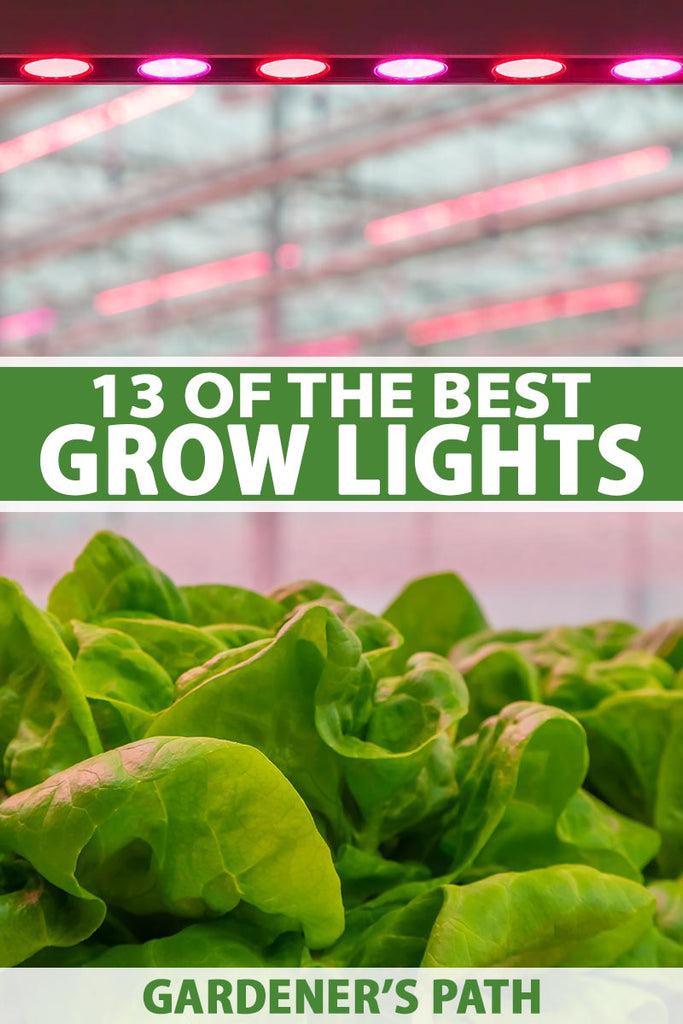 13 of the Best Grow Lights for Indoor Plants and Seedlings